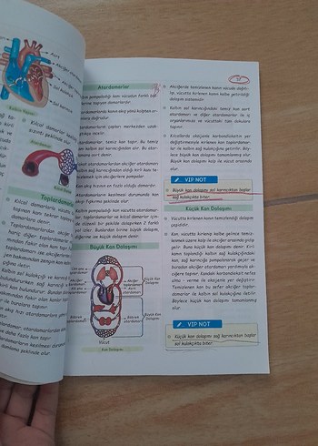 6. Sınıf VIP Fen Bilimleri Konu Anlatımı Kitabı - Görsel 2
