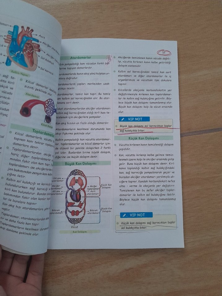 6. Sınıf VIP Fen Bilimleri Konu Anlatımı Kitabı - Görsel 2