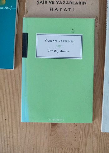 Çeşitli Şiir Kitapları 11 Kitap - Görsel 5