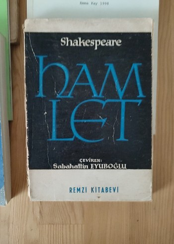 Çeşitli Şiir Kitapları 11 Kitap - Görsel 2