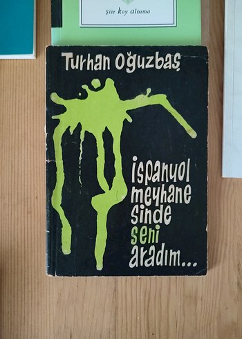 Çeşitli Şiir Kitapları 11 Kitap - Görsel 4