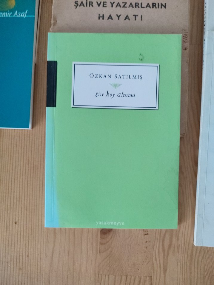 Çeşitli Şiir Kitapları 11 Kitap - Görsel 5