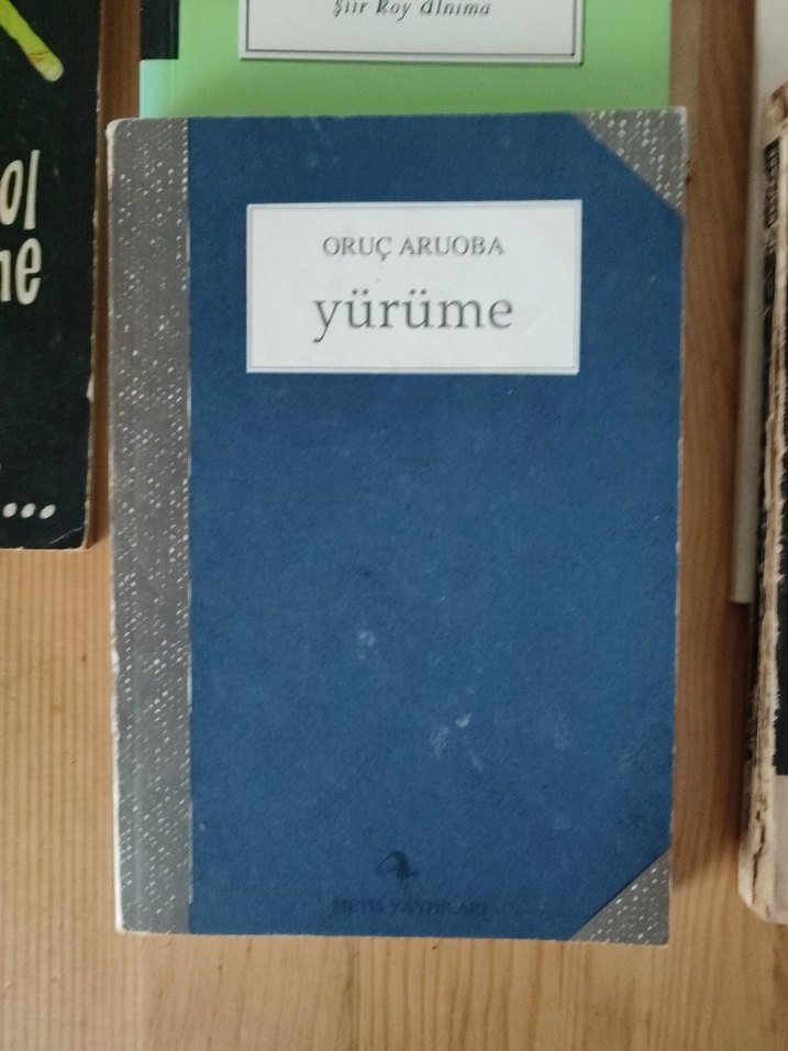 Çeşitli Şiir Kitapları 11 Kitap - Görsel 3