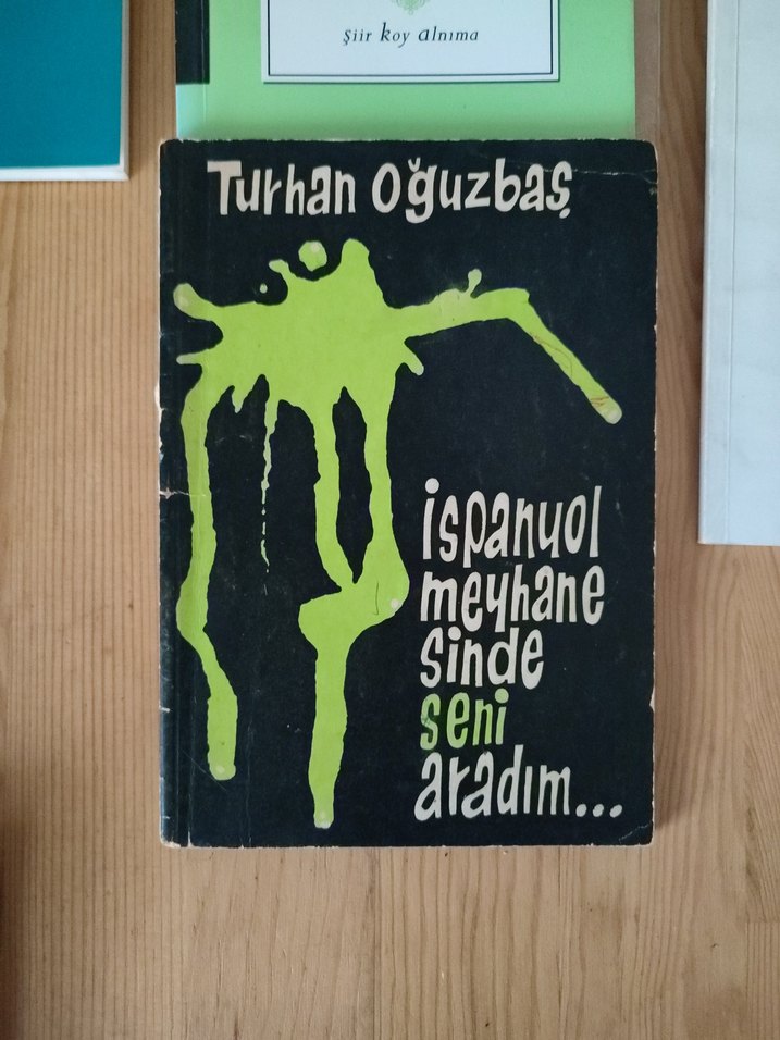 Çeşitli Şiir Kitapları 11 Kitap - Görsel 4