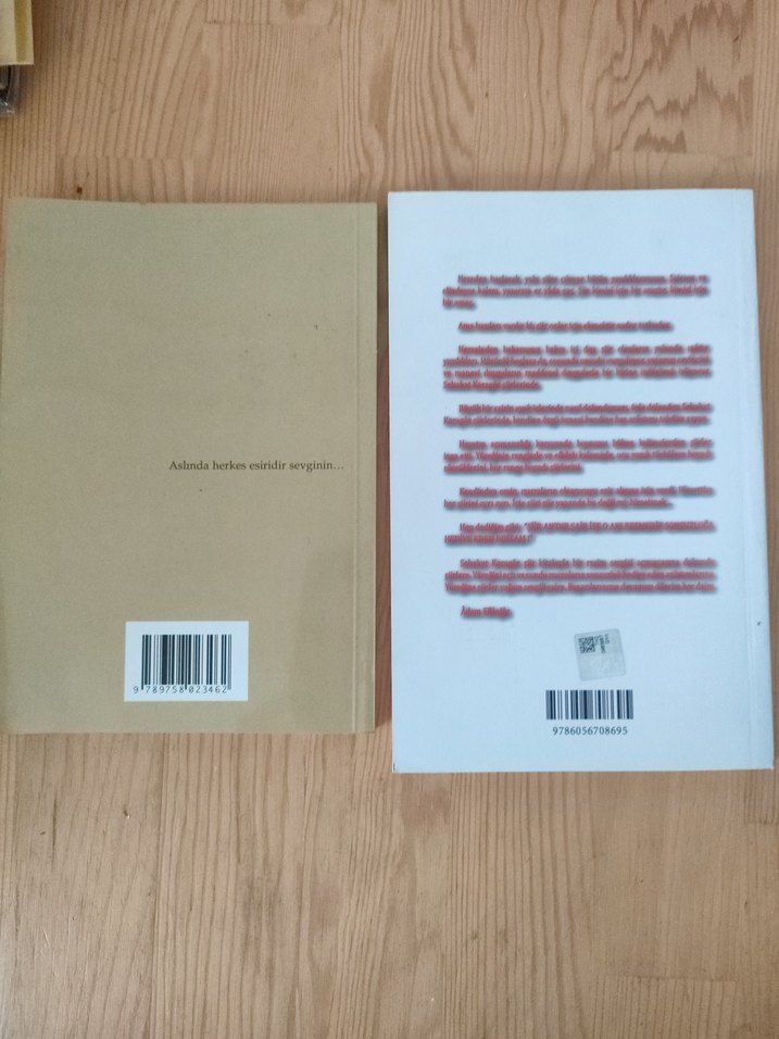 Mine Sağlam ve Sebahat Karagöz - Görsel 2