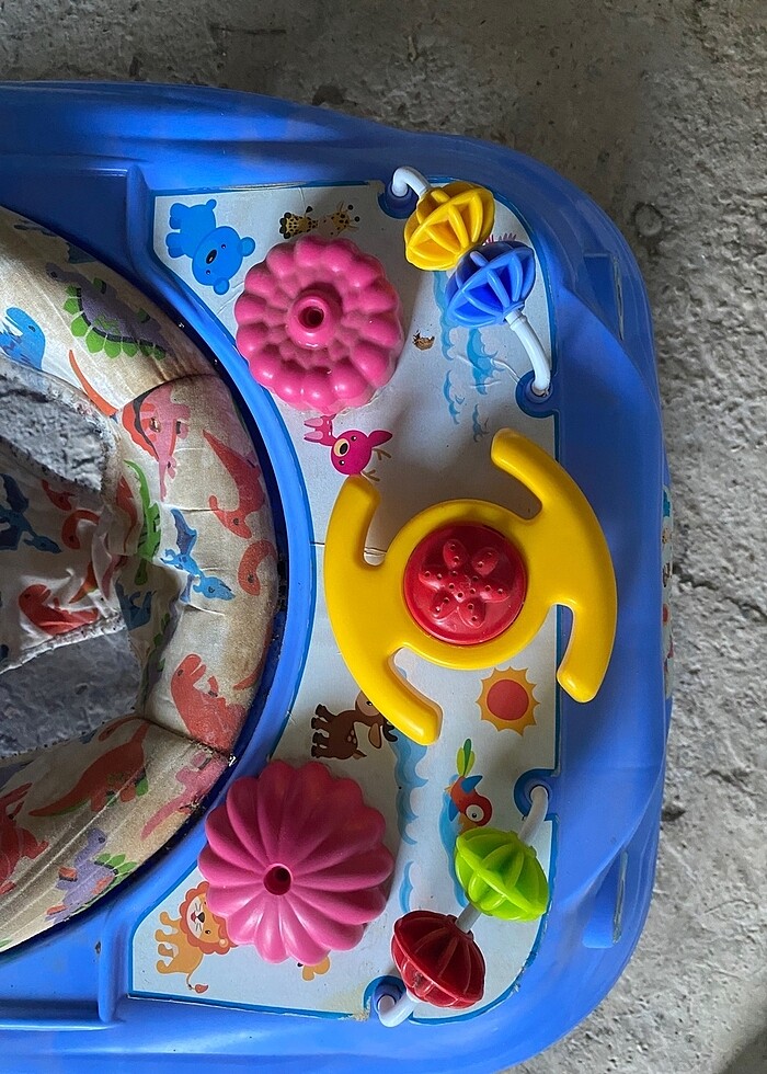 Prego yürüteç örümcek - Görsel 3