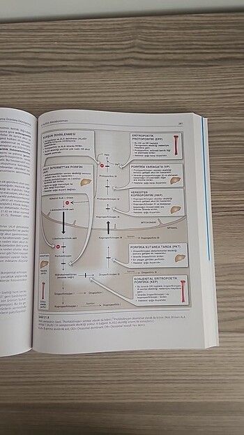 Beden Renk Lippincott Biyokimya Kitabı