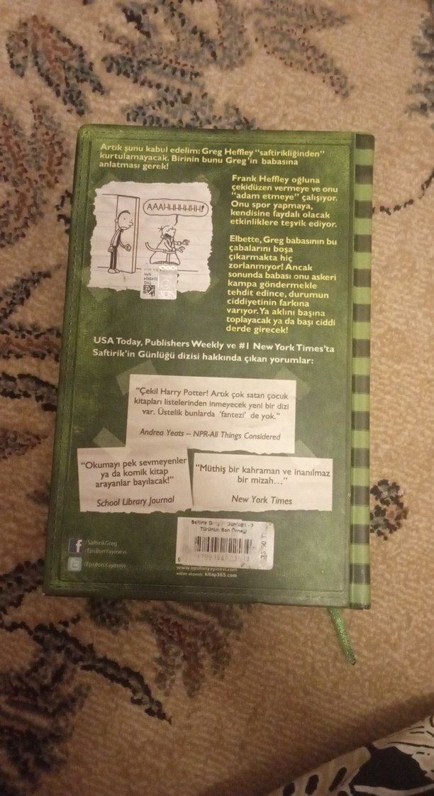 Saftirik Greg'in Günlüğü Türünün Son Örneği - Görsel 2