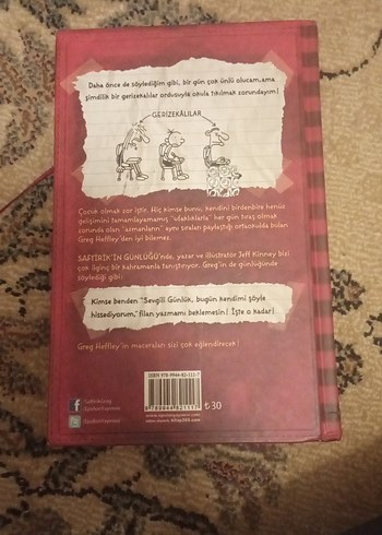 Saftirik Greg'in Günlüğü - Jeff Kinney - Görsel 2