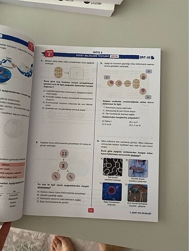 7.sınıf fen bilimleri soru bankası - Görsel 3