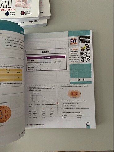 7.sınıf fen bilimleri 44 föy fıt yayınları - Görsel 4