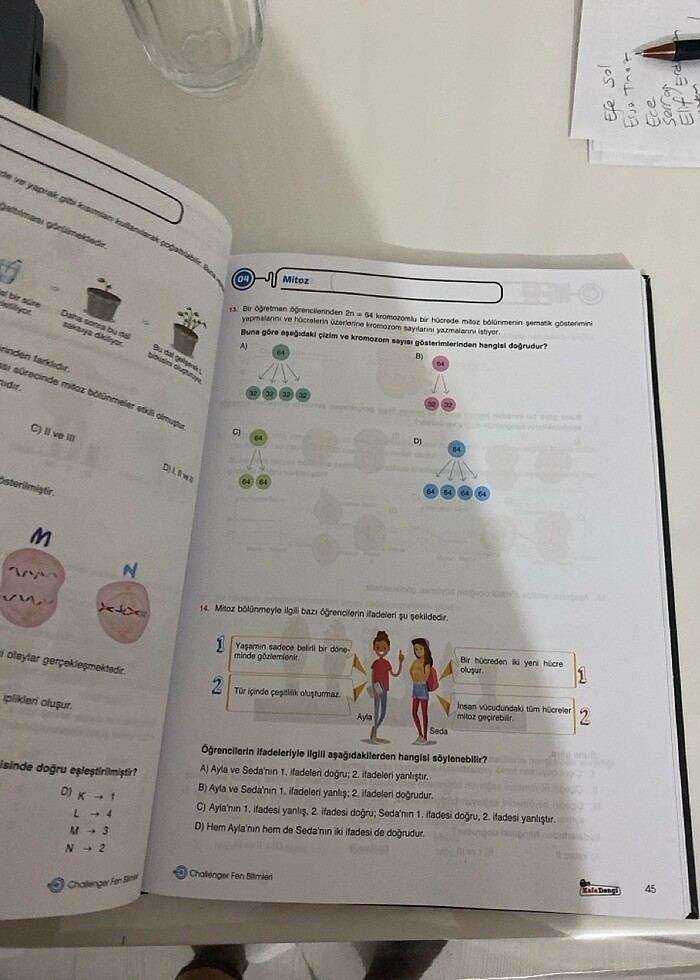 Kafa dengi fen bilimleri 7.sınıf - Görsel 3