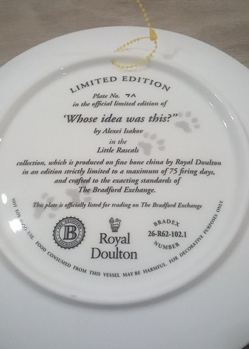 Gri Kedi Temalı Dekoratif Tabak - Görsel 2