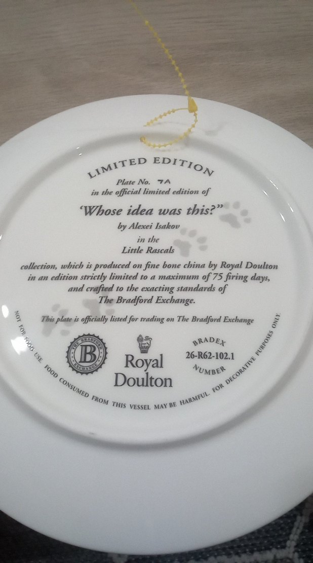 Gri Kedi Temalı Dekoratif Tabak - Görsel 2