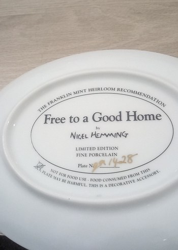 Ücretsiz Sahiplendirilecek Yavru Köpekler Tablosu - Görsel 2