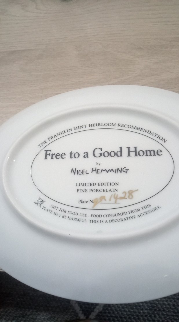 Ücretsiz Sahiplendirilecek Yavru Köpekler Tablosu - Görsel 2