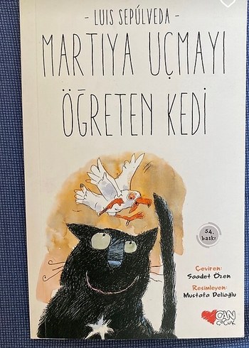 Martıya Uçmayı Öğreten Kedi ve Çantamdan Fil Çıktı