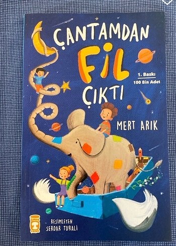  Martıya Uçmayı Öğreten Kedi ve Çantamdan Fil Çıktı