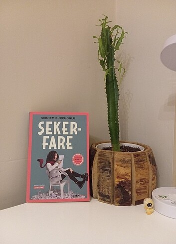 Şekerfare