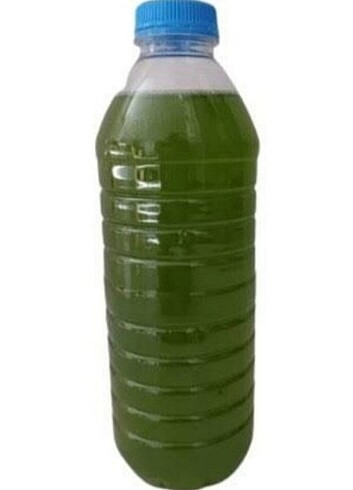 İki adet 1,5 litre yeşil su