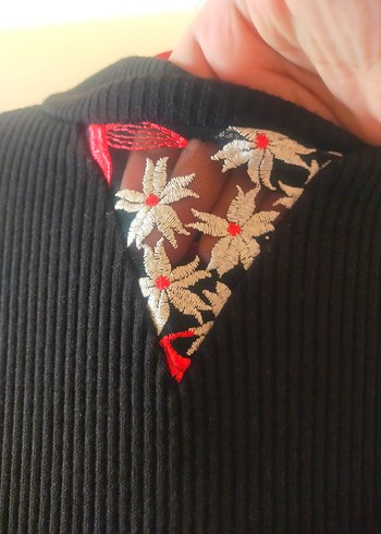 Nakışlı Siyah Uzun Kollu Triko Elbise - Görsel 3