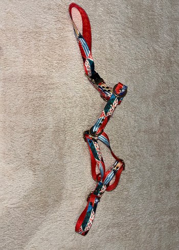 Küçük ırk Köpek göğüslük - Görsel 2