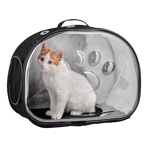 Beden Renk Elips Kedi Taşıma Çantası