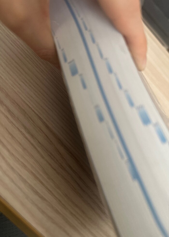 LONGMAN ACTİVE STUDY DICTIONARY - Görsel 3