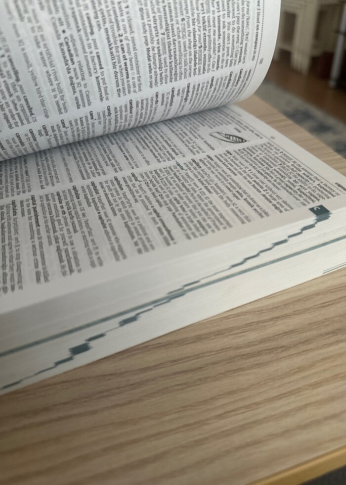 Cambridge dictionary - Görsel 4