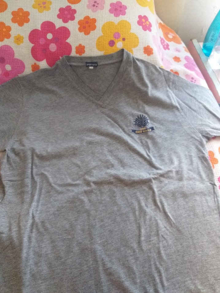 Gri V Yaka penye Erkek Tişört - Görsel 5