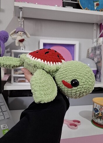 Tasarımcı Karpuz kaplumbağa