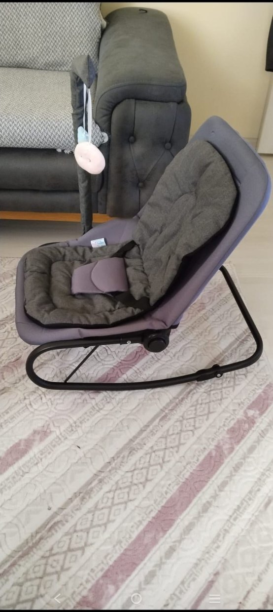 Gri Bebek Araba Koltuğu - Görsel 3