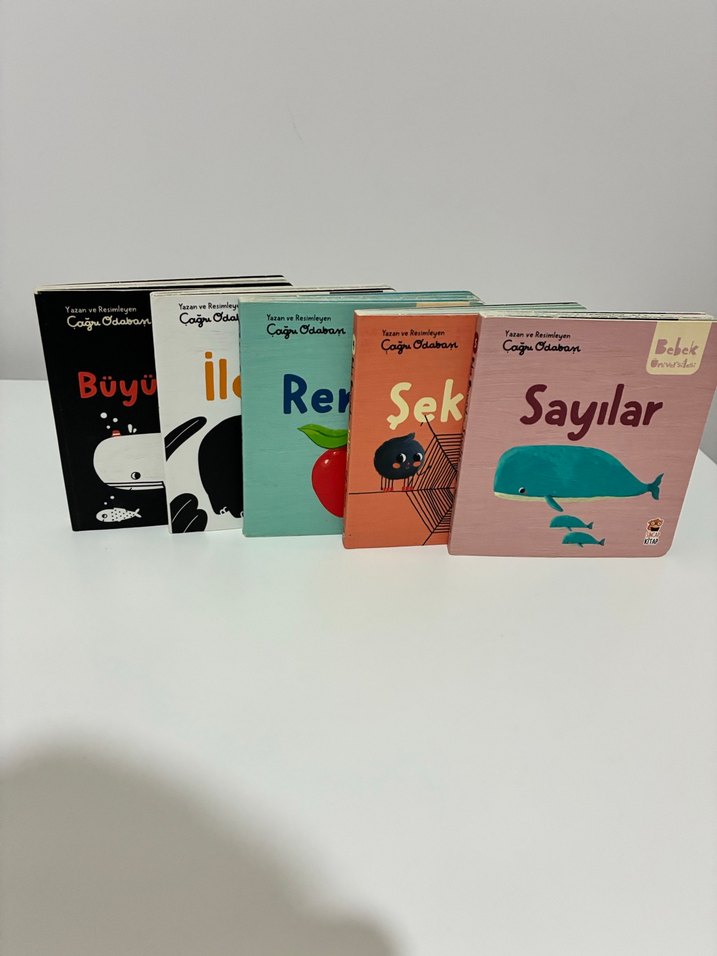 Çizgi Okuma Seti - Sayılar ve Renkler - Görsel 2