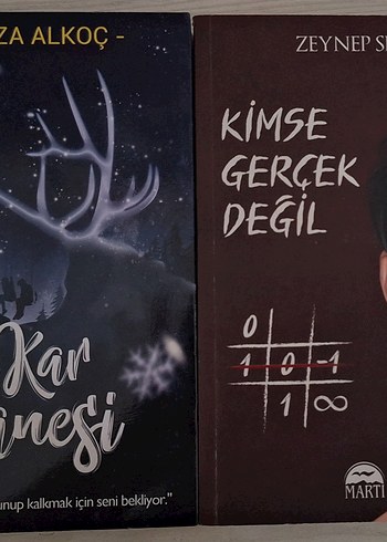 kar tanesi ve kimse gerçek değil