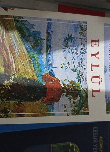 Kitap 