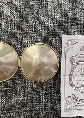 Koruyucu Gümüş Göğüs Ucu Kapakları - Görsel 2