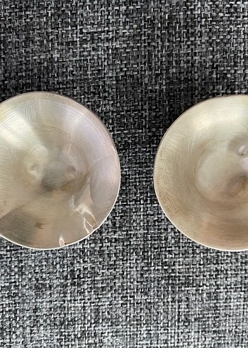 Koruyucu Gümüş Göğüs Ucu Kapakları - Görsel 3