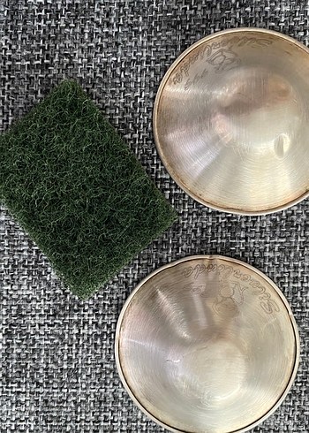 Koruyucu Gümüş Göğüs Ucu Kapakları - Görsel 5