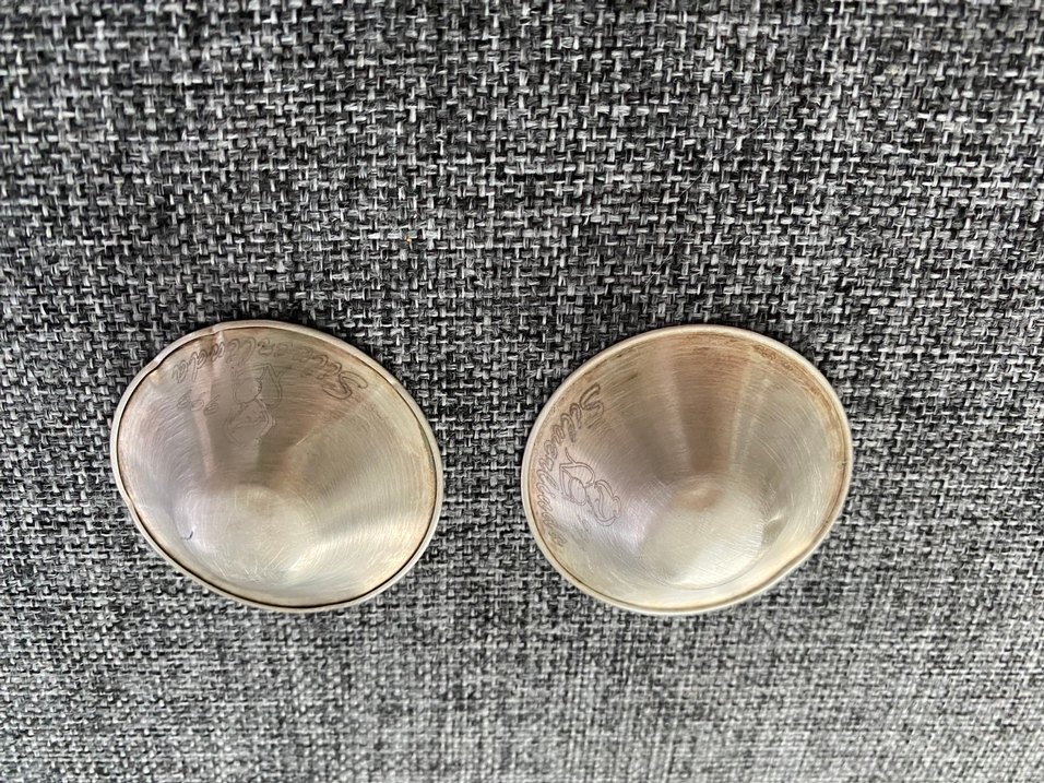 Koruyucu Gümüş Göğüs Ucu Kapakları - Görsel 4