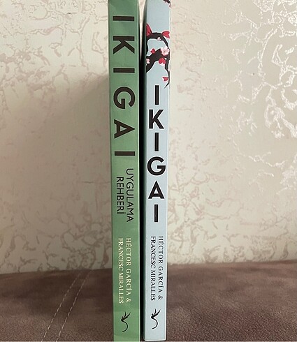  IKIGAI kitap ( ikigai )