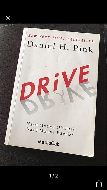 Drive nasıl motive oluruz? Nasıl motive ederiz?