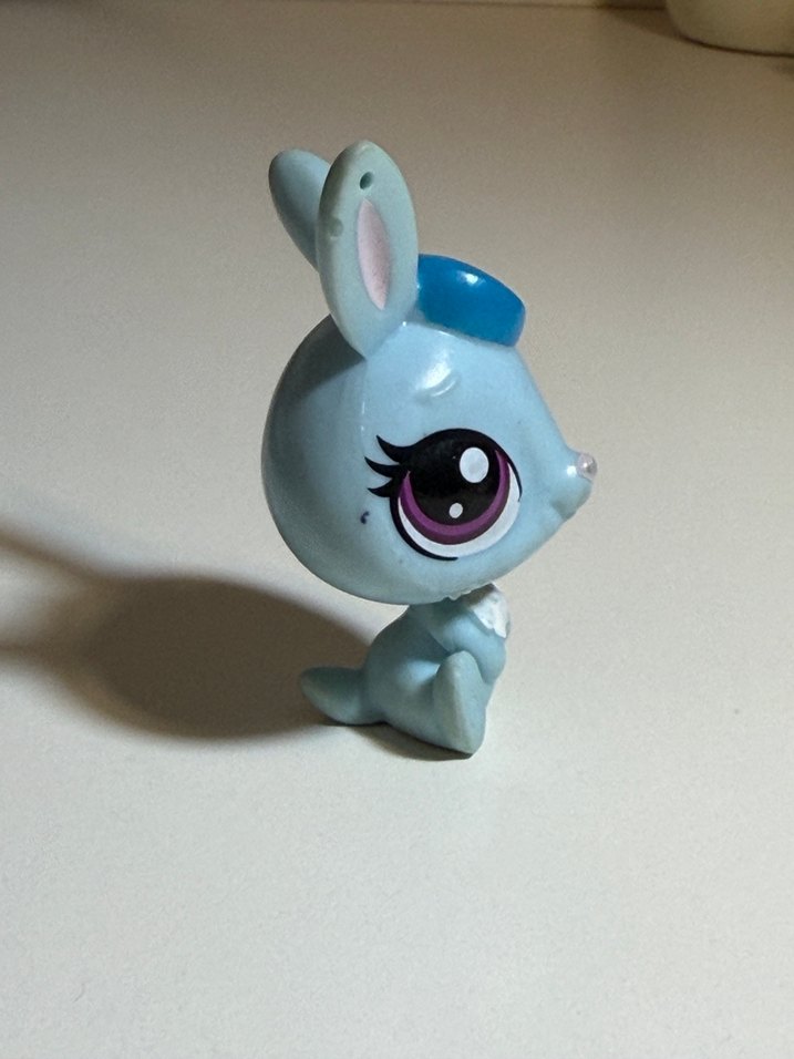 Mavi Tavşan minis - Görsel 4