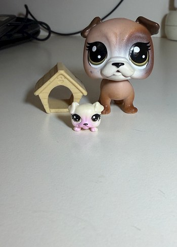 kopek minis ve yavrusu - Görsel 2