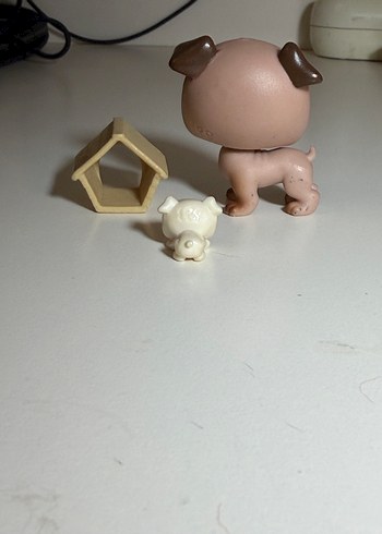 kopek minis ve yavrusu - Görsel 3