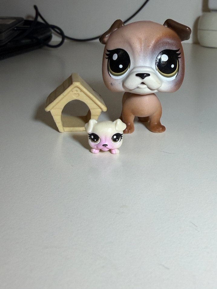 kopek minis ve yavrusu - Görsel 2