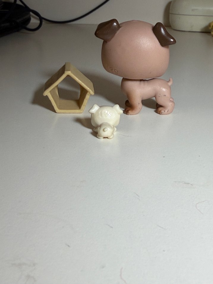 kopek minis ve yavrusu - Görsel 3