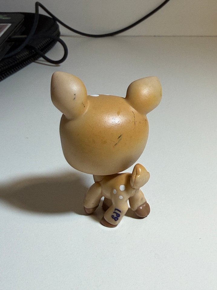 ceylan minis - Görsel 2