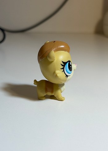 hamster minis - Görsel 4