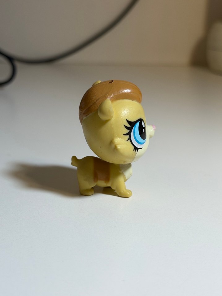 hamster minis - Görsel 4