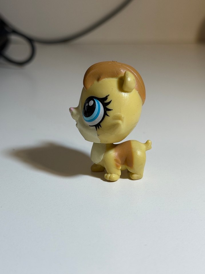 hamster minis - Görsel 2